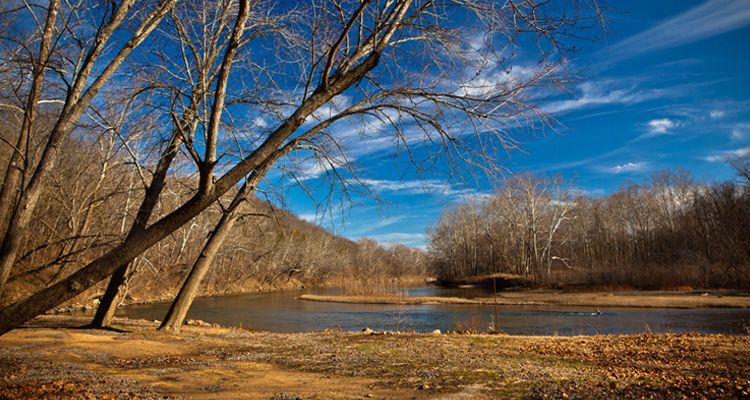 River or creek running underneath trees